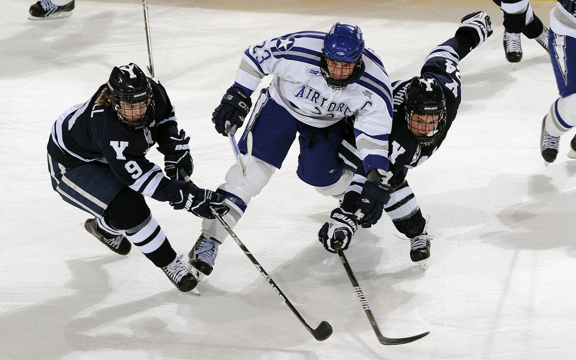巴黎奥运会倒计时，全球健儿备战正酣，新项目引期待
