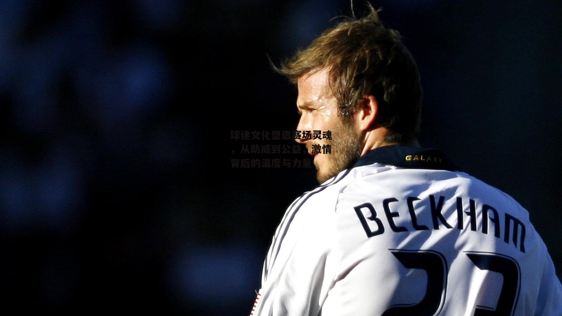 球迷文化塑造赛场灵魂，从助威到公益，激情背后的温度与力量